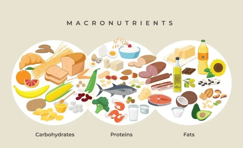 macro-nutrients-blog-groot