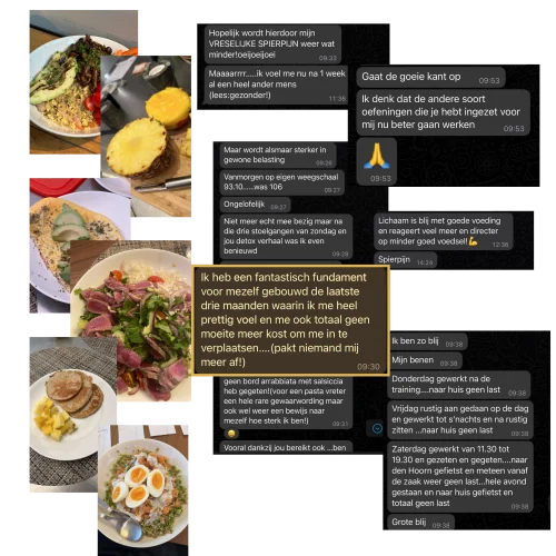 WhatsApp-gesprek tussen Sil en zijn coach